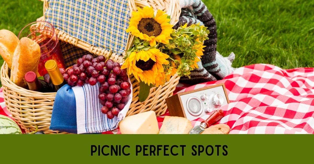 Five Picnic Perfect Spots Focus On Nova Real Estate