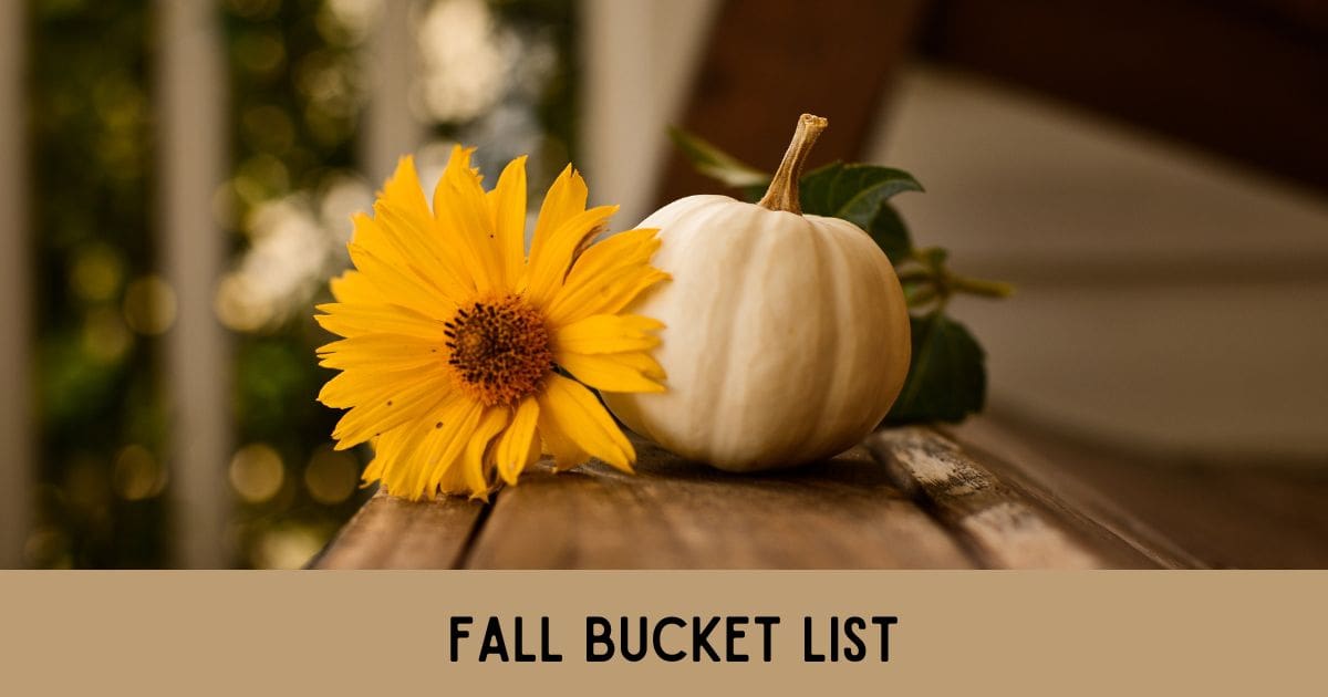 Fall Bucket List Focus On Nova Real Estate