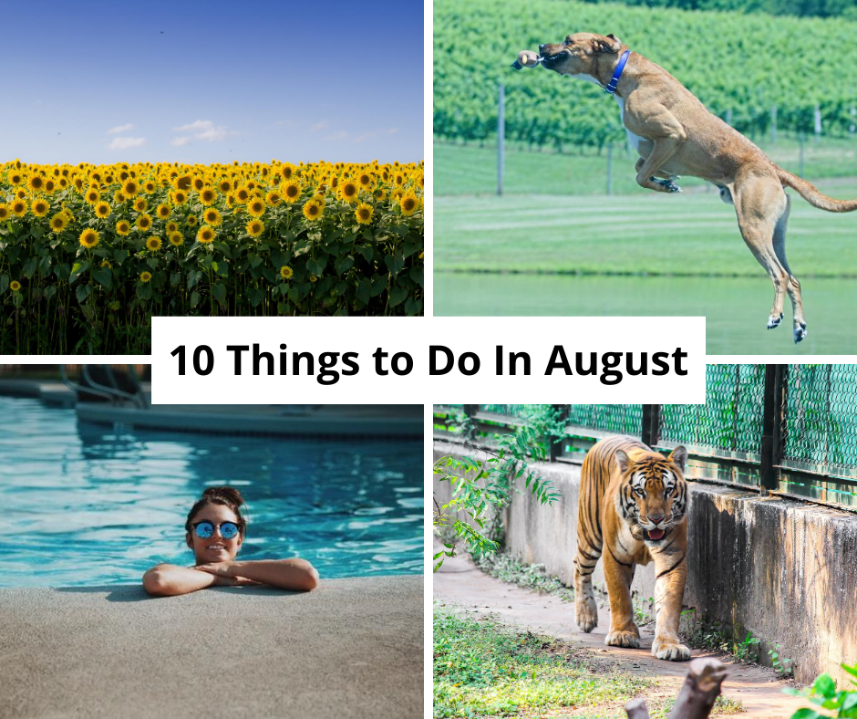 10 Fun Things To Do In August Focus on NoVA Real Estate