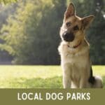 Dog Parks (2)