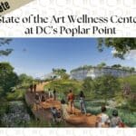 Development Update (5)