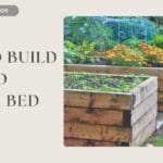 How to build a raised garden bed