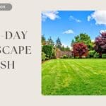 One-Day Landscape Refresh: Simple Updates That Instantly Boost Curb Appeal 1-day landscape refresh