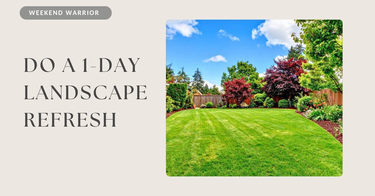 1-day landscape refresh